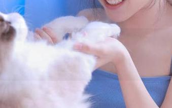 穿越到hlw网页的奇妙旅程，真希望能多待一会儿啊！