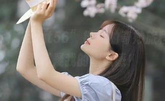 “zztt56”链接的奇妙旅程，让我怀疑我的幽默感！