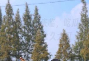 暗黑时刻来临，吃瓜51cg咬上了一口永久大瓜