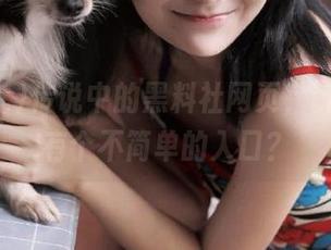传说中的黑料社网页，听说那里有个不简单的入口？